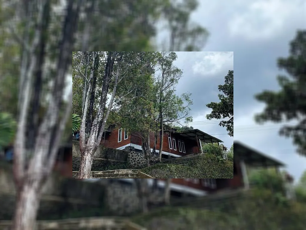 WhatsApp Image 2022-12-17 at 1.53.09 PM (1).jpg